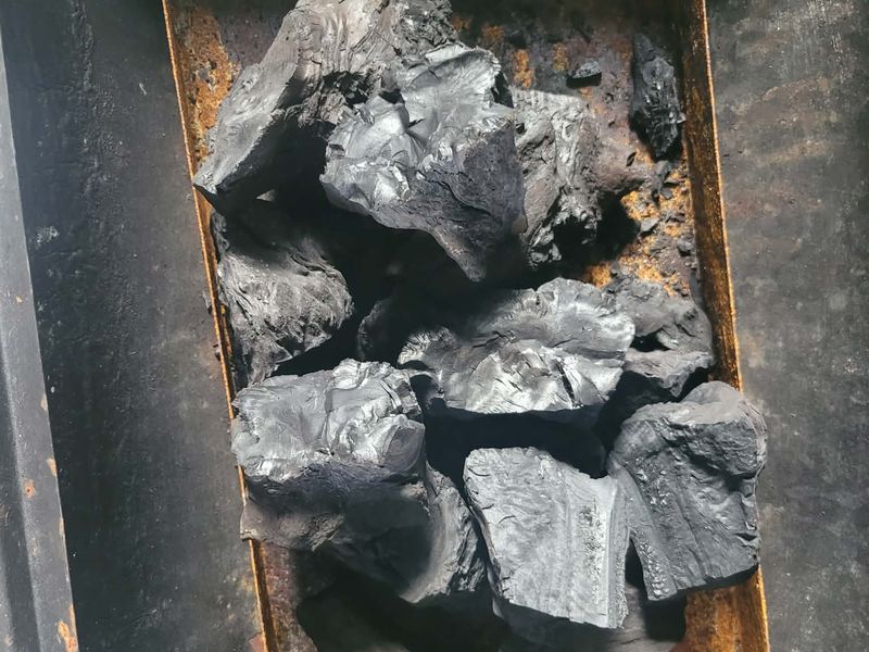 Coffee wood lump charcoal loaded in a firebox before lighting