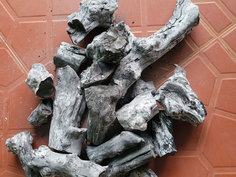 Coffee wood binchotan in its natural branch shape
